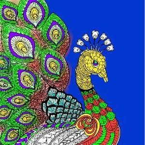 Meet your Posher, Dilip